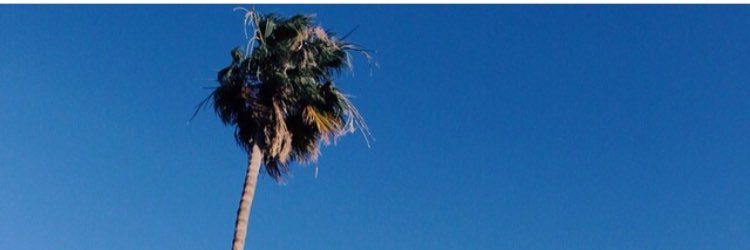_fridaii's profile banner image