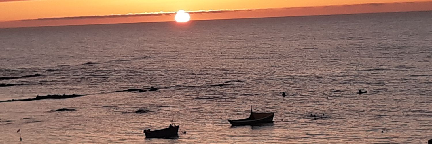 Prof Annette Hand banner