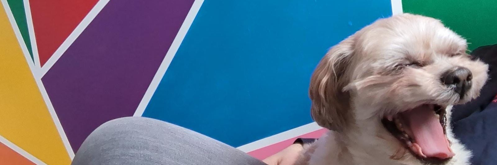 albaman90's profile banner image