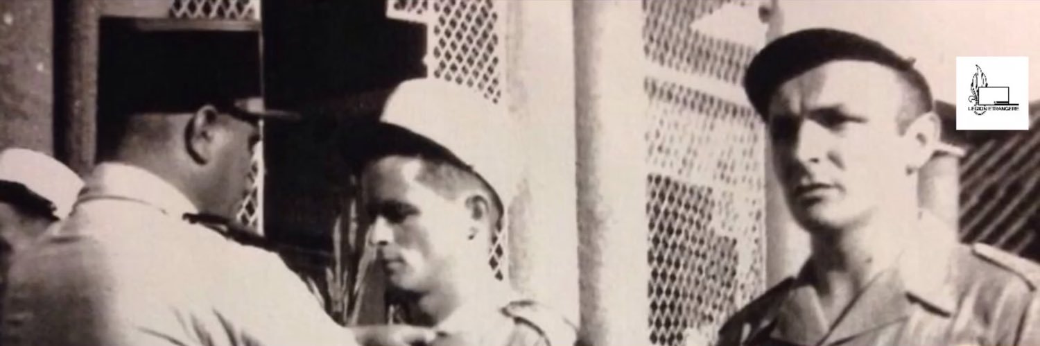 Maerte 🦁👑♌️🐾🐾🗽👩🏽🐰🐈‍⬛🍀☘️🟩🟥🐓⭐️⭐️🇫🇷 banner