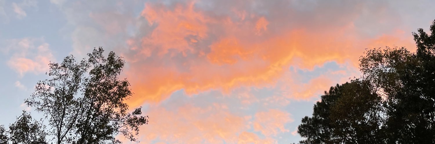 rachaelbasham's profile banner image