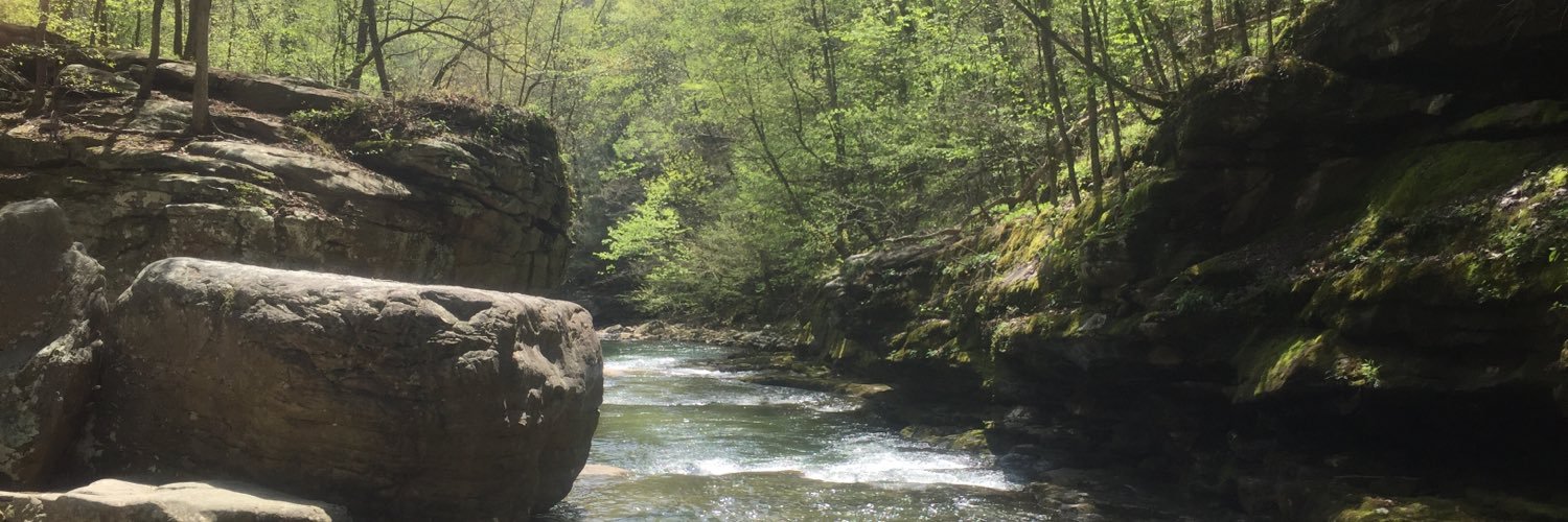 TayRob23's profile banner image