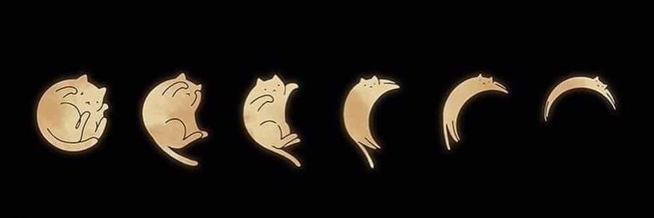 JewlyMiclowd's profile banner image