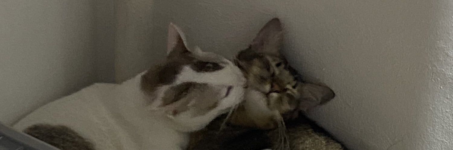 sknhmhdi's profile banner image