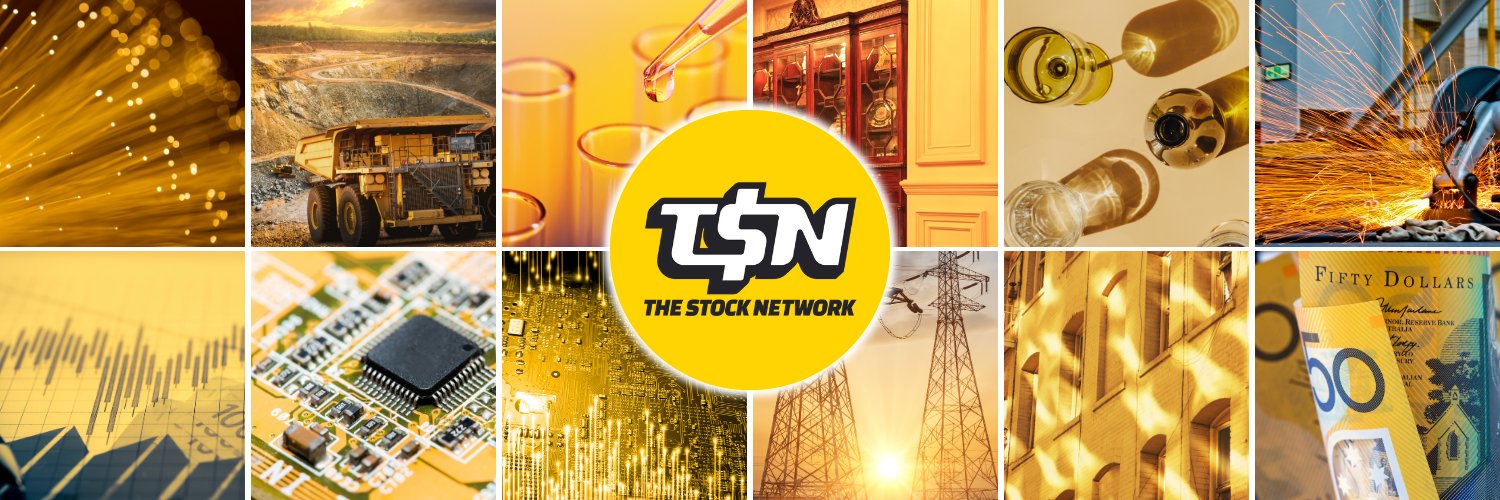 TSN: The Stock Network banner