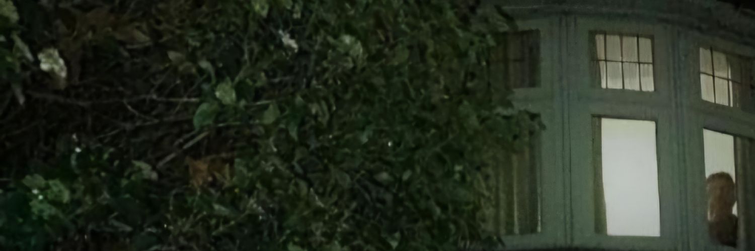 Murphoid's profile banner image