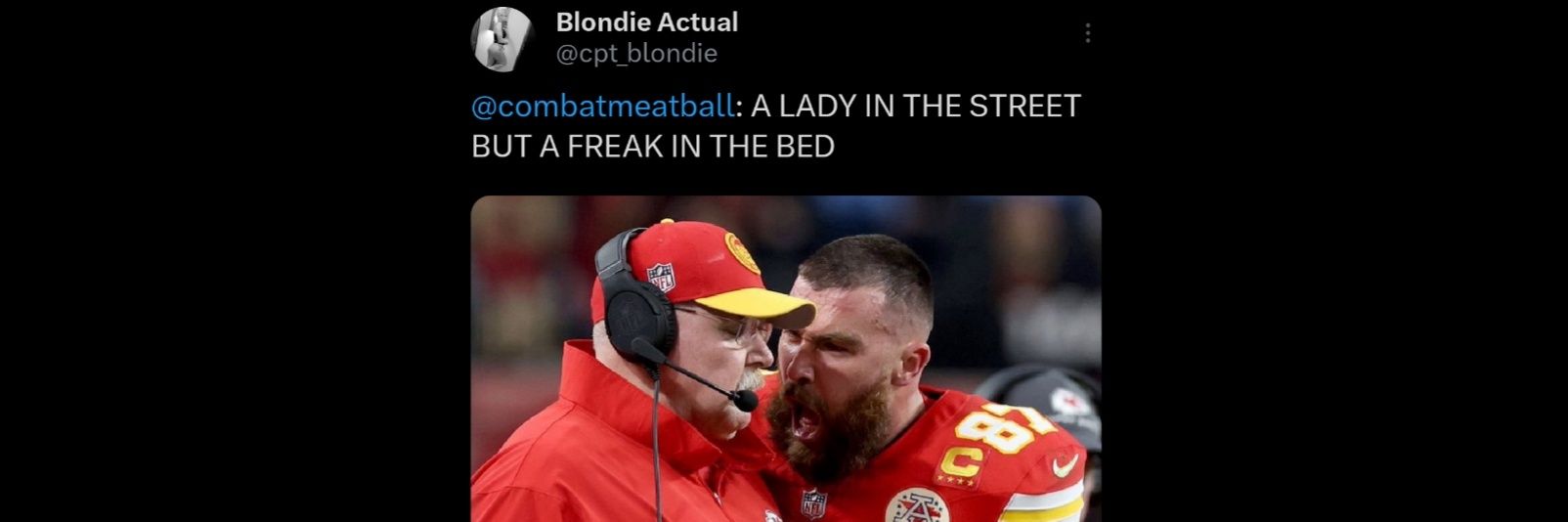 96/4 lean beef meatball banner