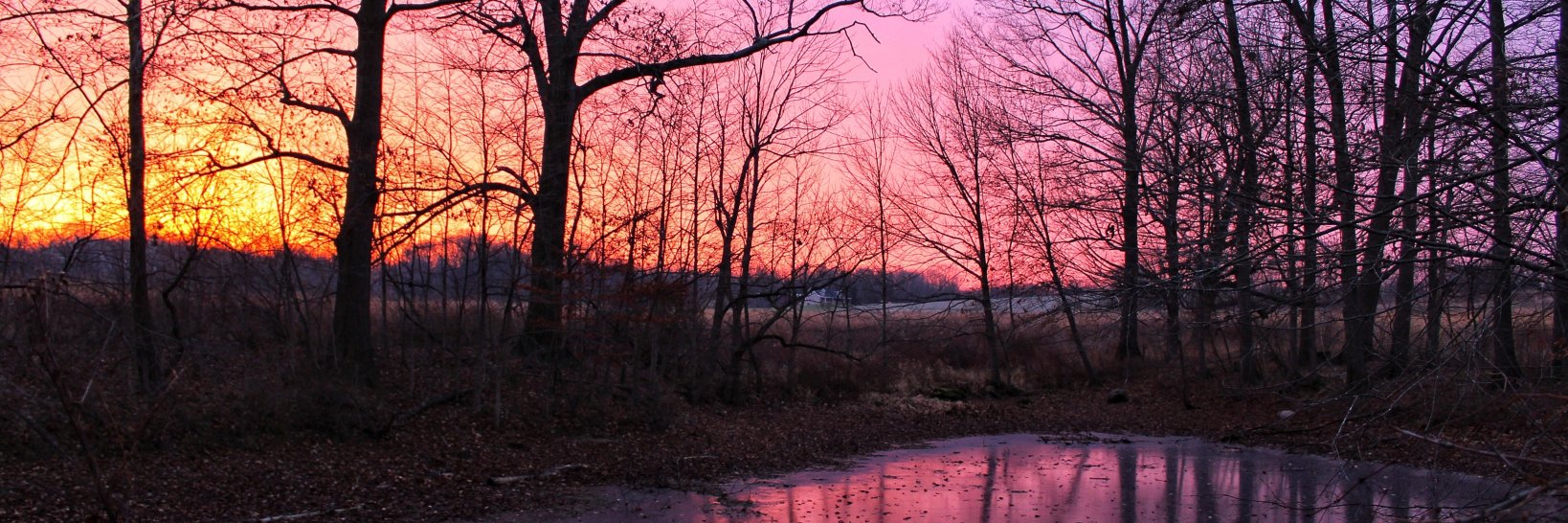 Hendricks Co. Parks banner