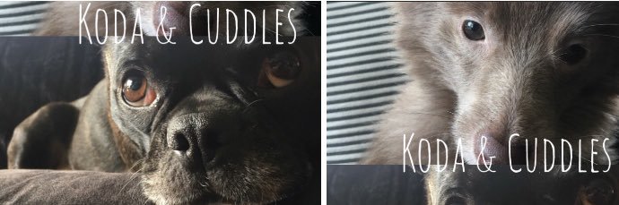 EstherElizM's profile banner image