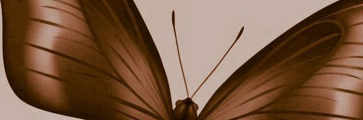 mardwarda's profile banner image