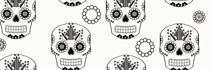 PopovaSiacool's profile banner image
