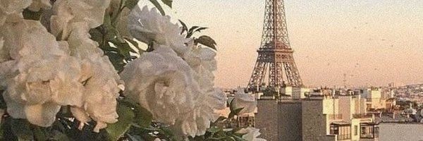 mg banner