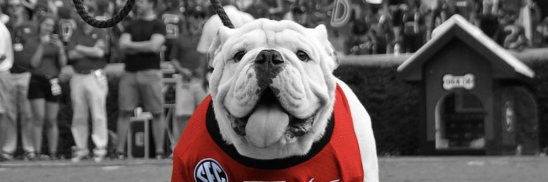 Brandon Ruston banner