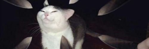 dogacetin_'s profile banner image