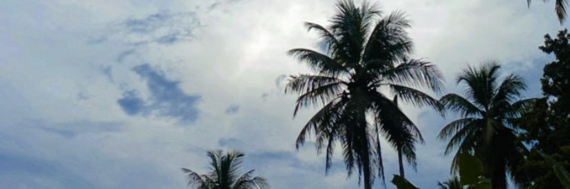 YindyMuran's profile banner image