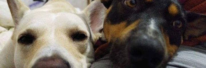 beleleu_'s profile banner image
