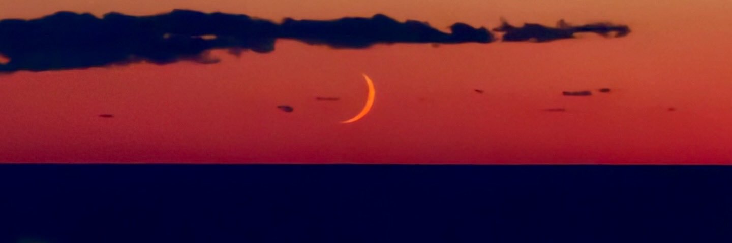 𝓻𝓮𝓪𝓵𝓭𝓪𝓷𝓷𝓷𝓪𝓵𝓮𝓼𝓼𝓪𝓷𝓭𝓻𝓸🐬 banner