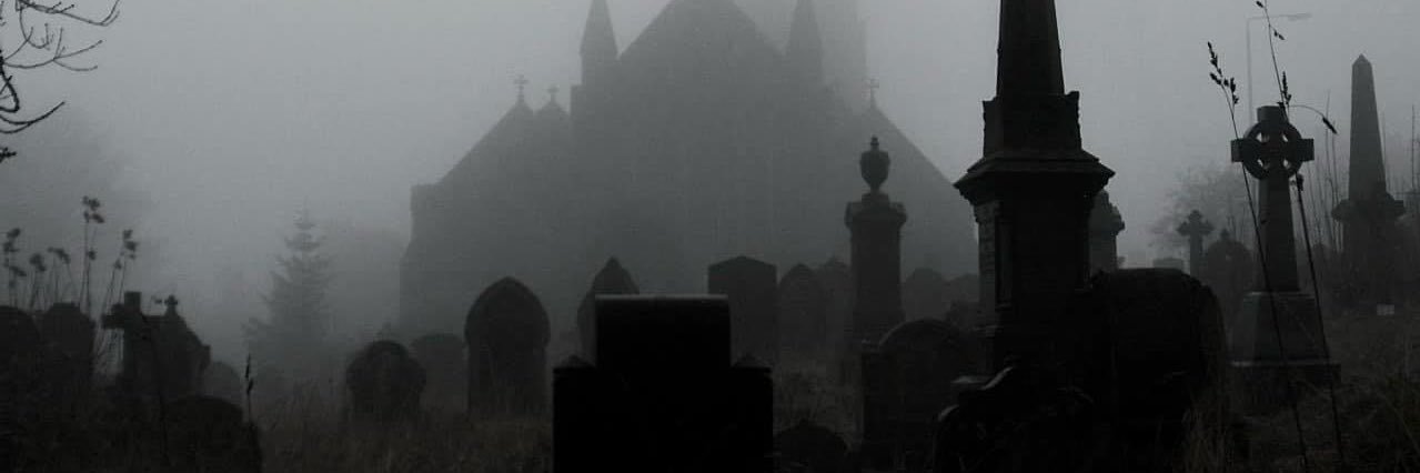 🕷𝖛𝖆𝖓𝖊𝖘𝖘𝖆🕷 banner