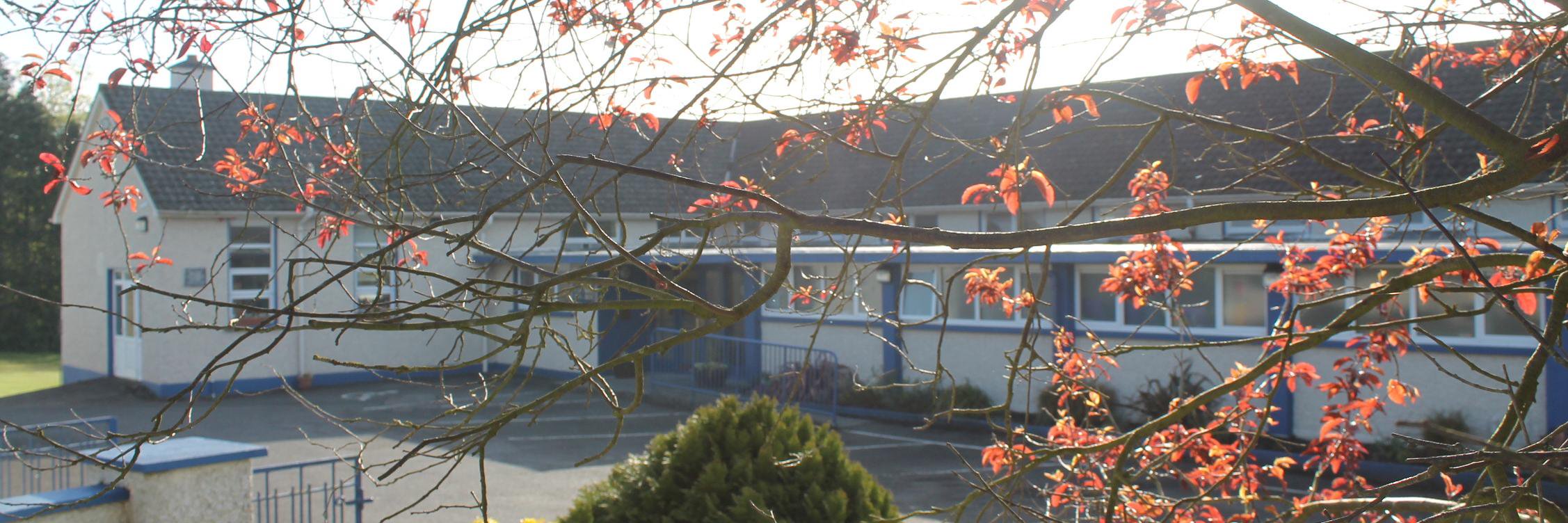 ColumbaCollege banner