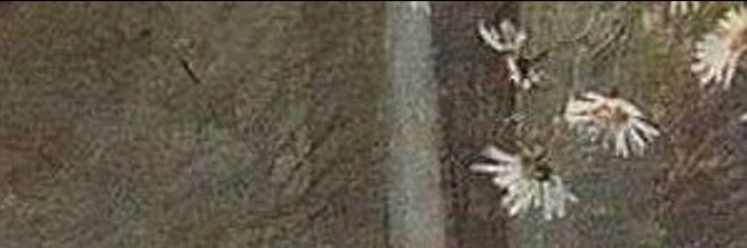 doomsuff's profile banner image