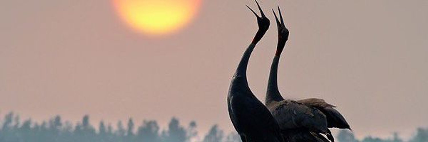 XeeshanShyk's profile banner image