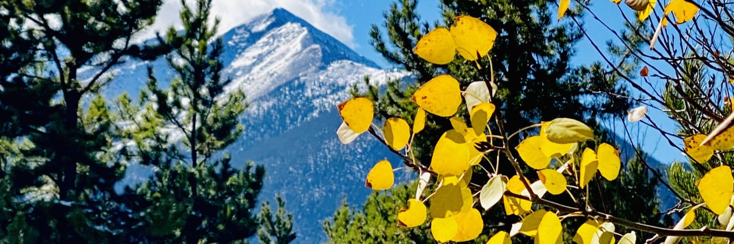 heidi_ryes's profile banner image