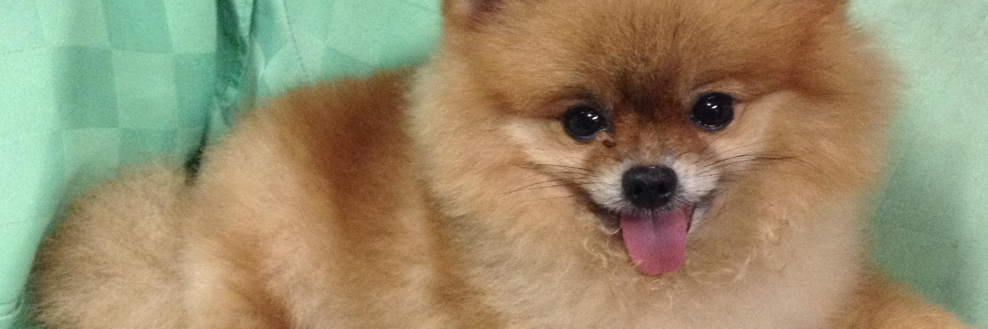 kimtiu37's profile banner image