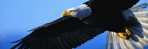 JorgeSepP's profile banner image