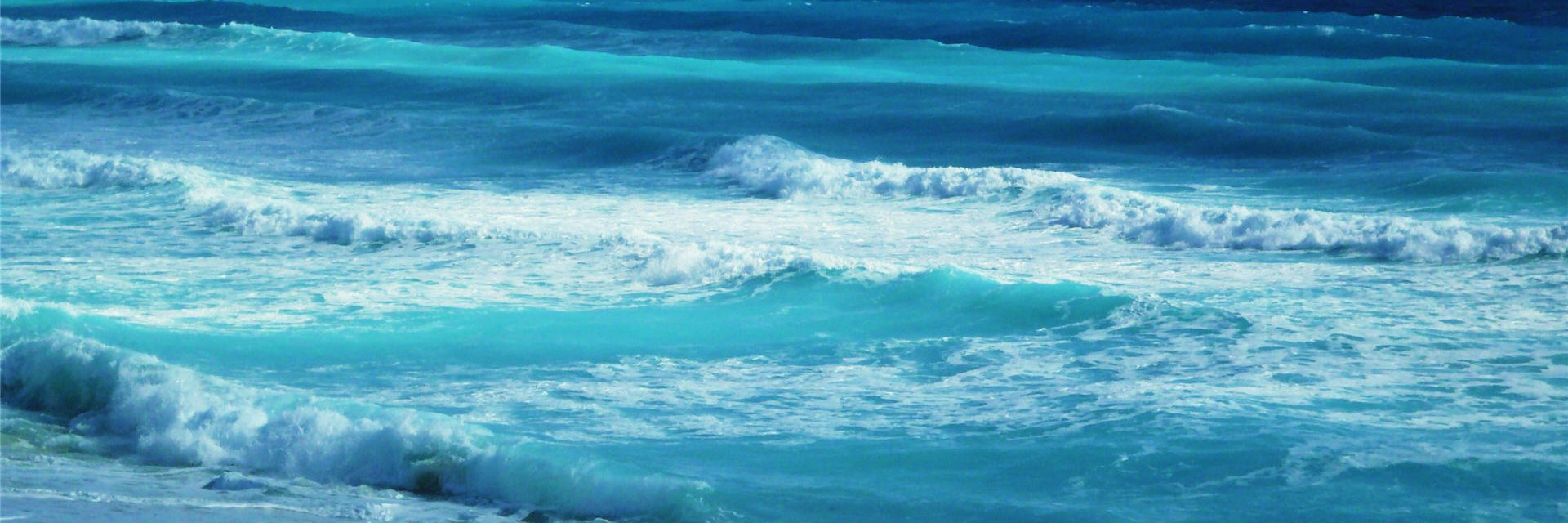 maria_cimo's profile banner image