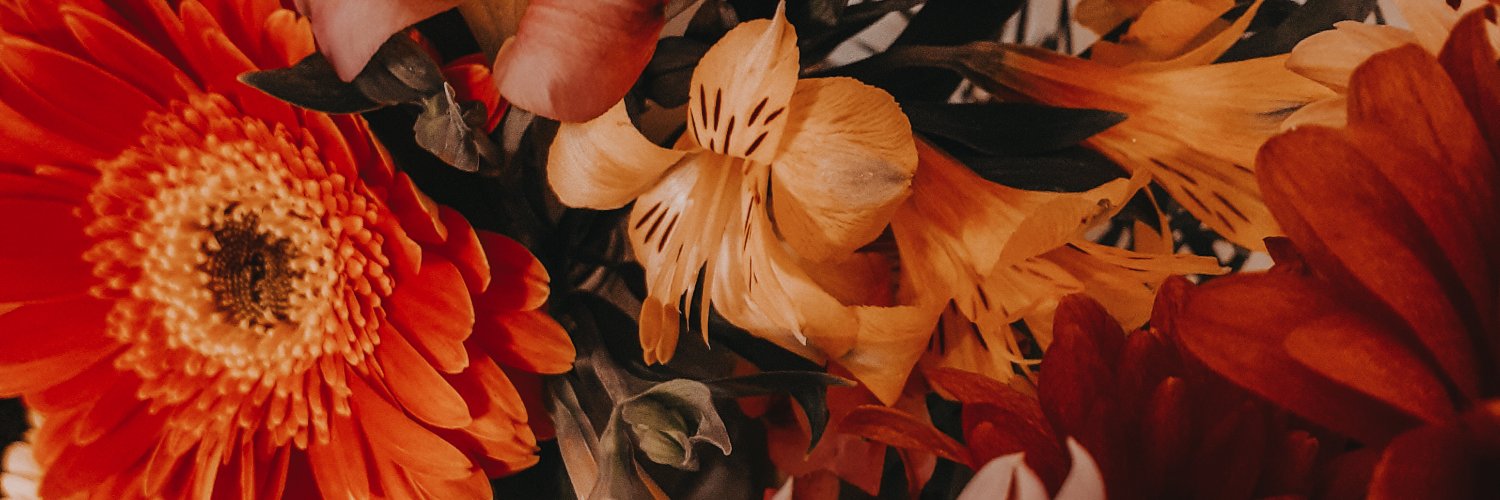 quelcnas's profile banner image