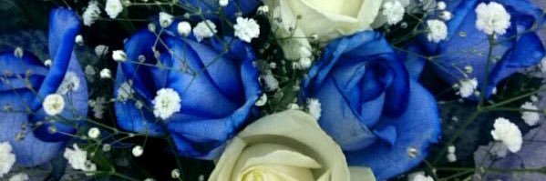 stysty_k313's profile banner image