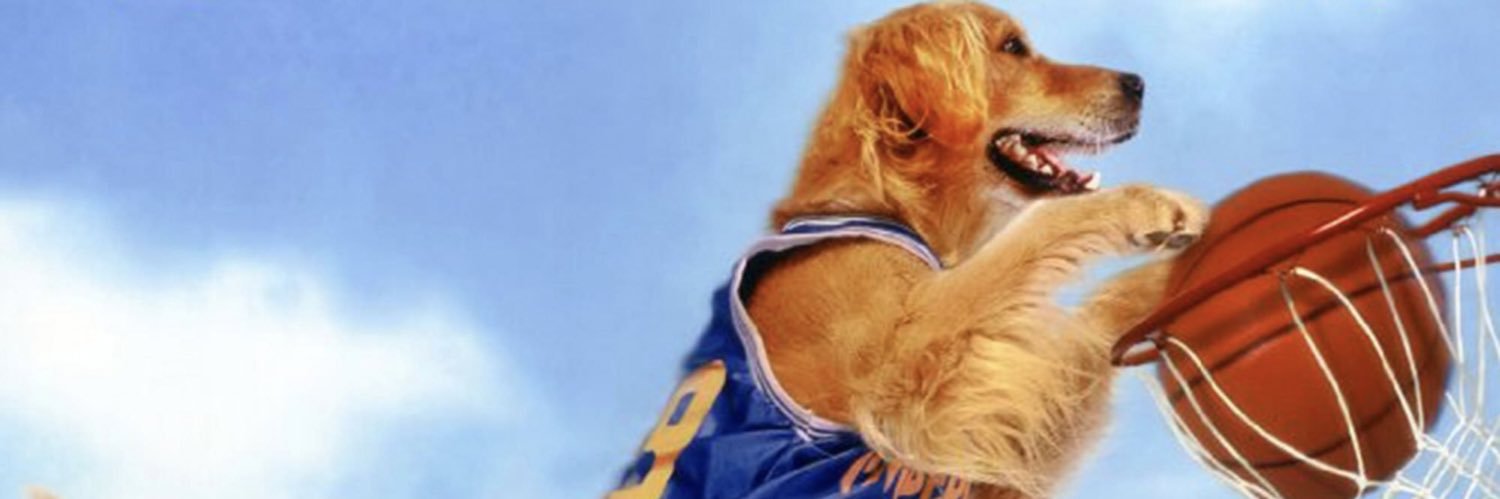 TrailMixKing's profile banner image