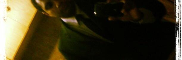 wagnerss's profile banner image