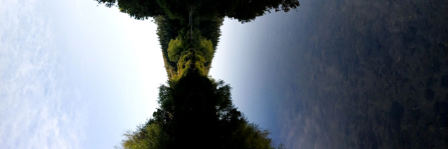 BilicCeci's profile banner image