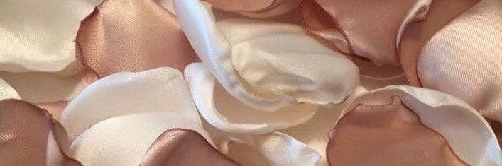 bbllankiita's profile banner image