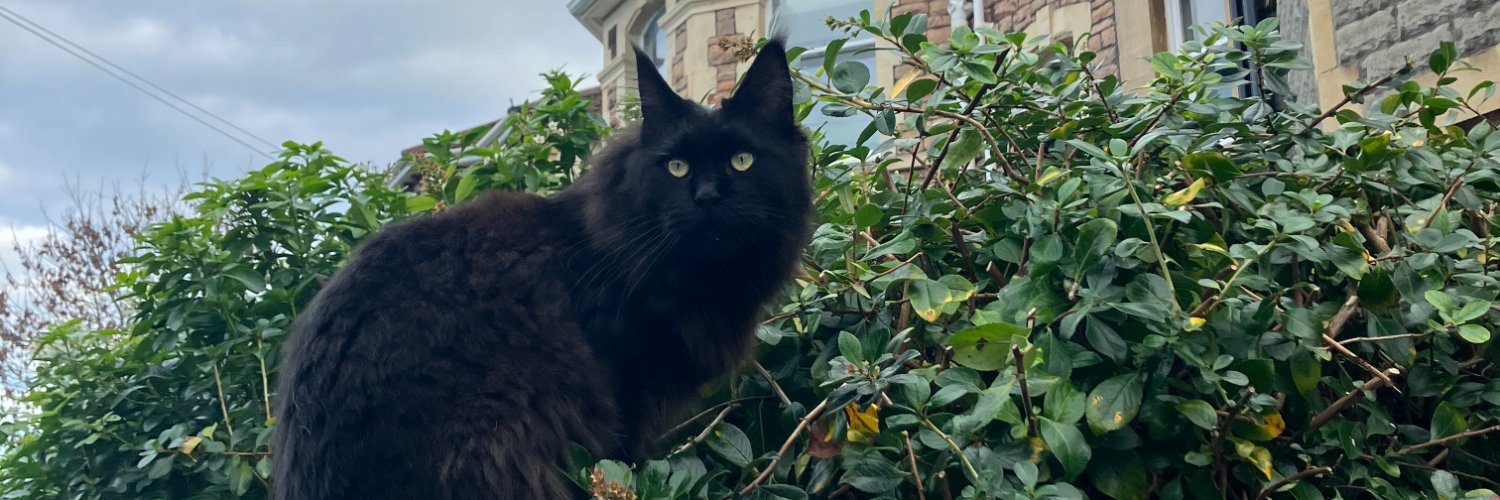 kat🦦🏺 banner