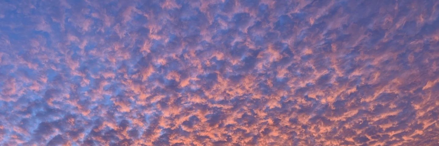 Kyle Lamprecht banner