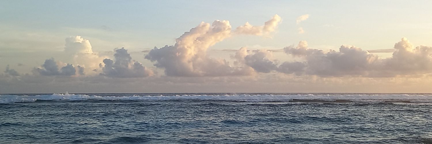nandazha's profile banner image