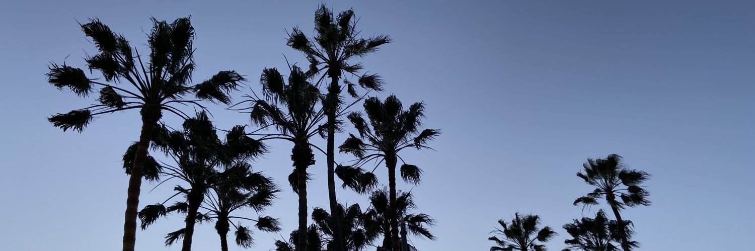 jadynperry's profile banner image