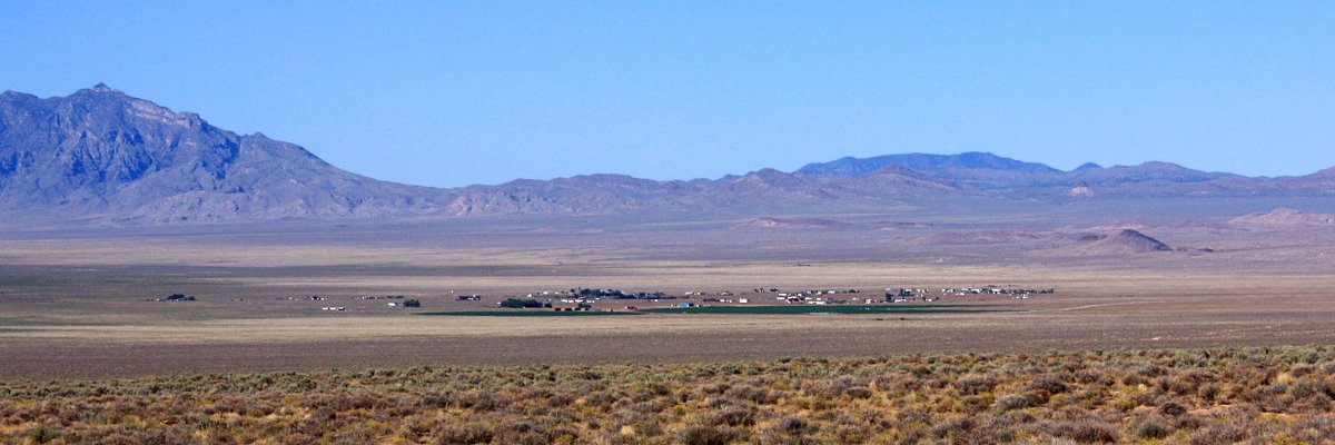 Rachel Donnelly banner