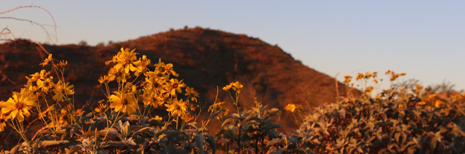 sashacharis's profile banner image