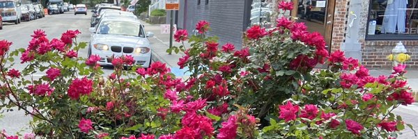 HeymannAmelia Profile Banner