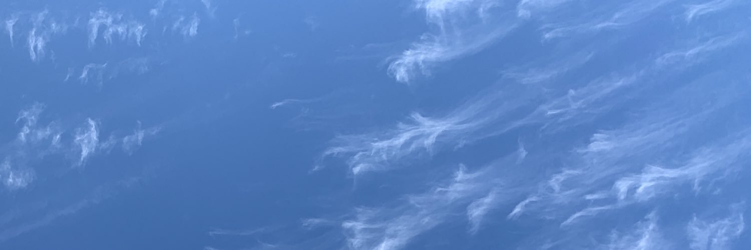 lilpoodlehead's profile banner image