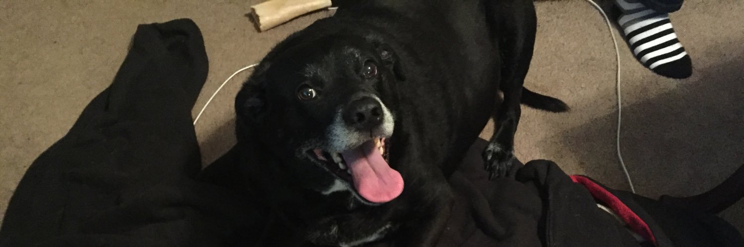 Andrew Deakins banner