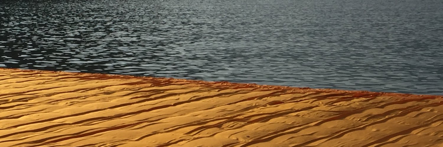 elenapuccinelli's profile banner image