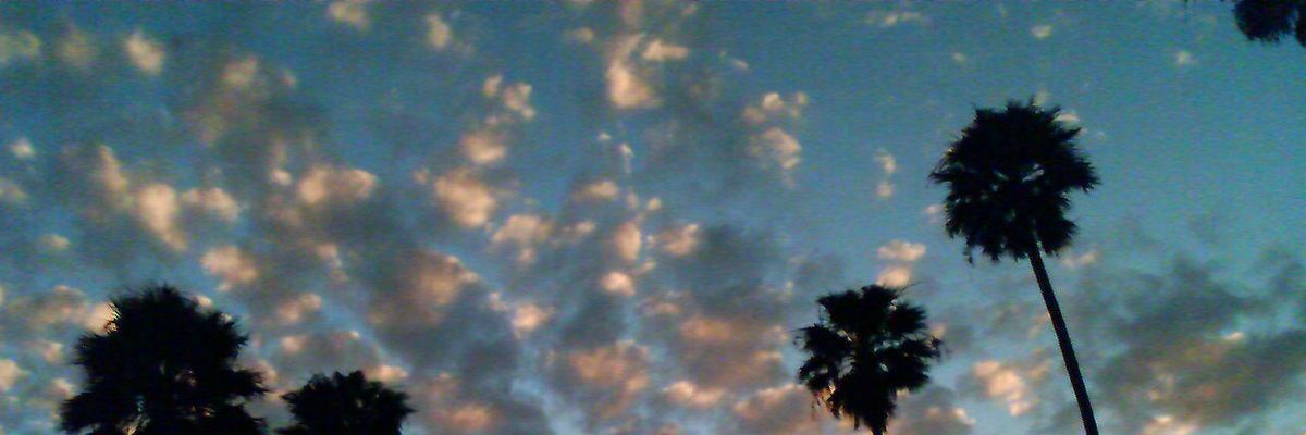 viewparkrecords's profile banner image