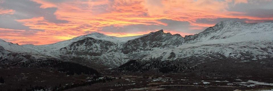 Erin Sullivan banner