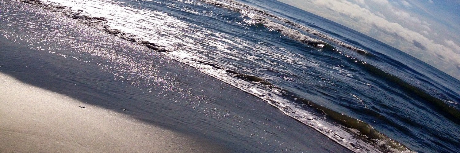 Ali_Faith10's profile banner image