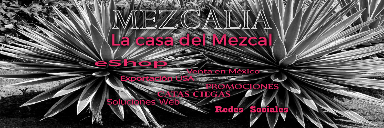 MezcaliaShop's profile banner image