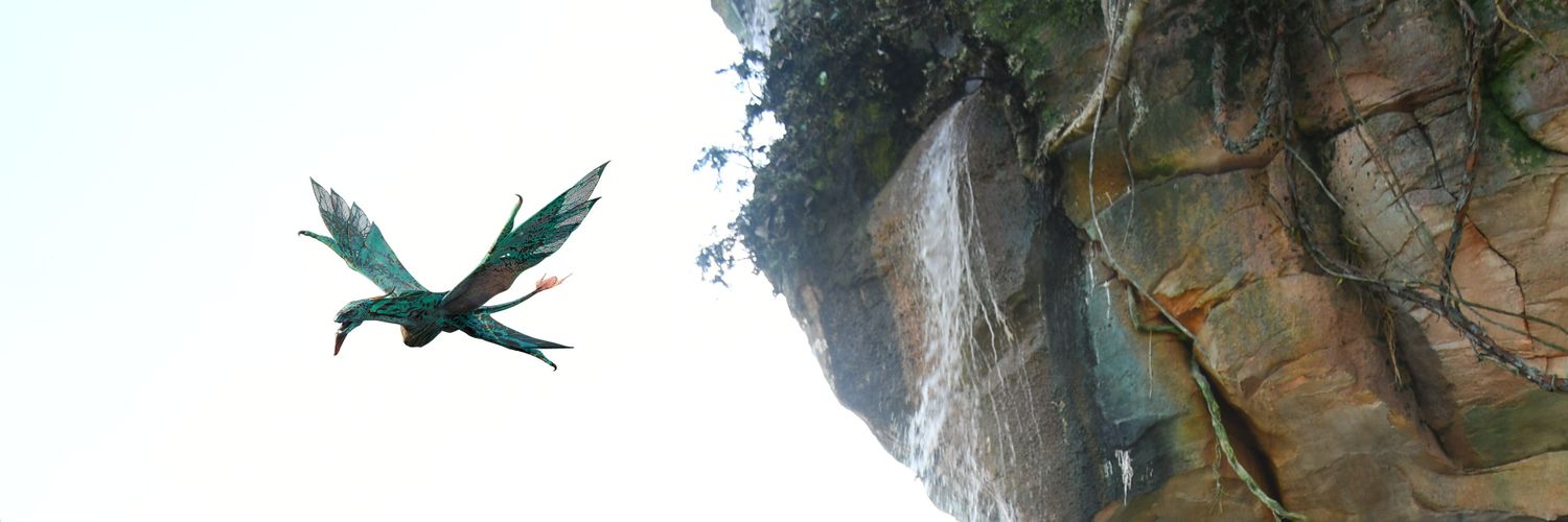 digaorcr's profile banner image